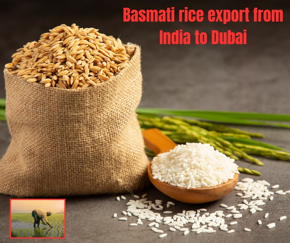 Best Basmati Rice Export from India to Dubai | Manjusree General Trading
